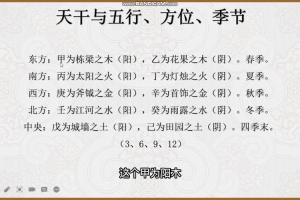 探寻天干地支背后的深刻联系