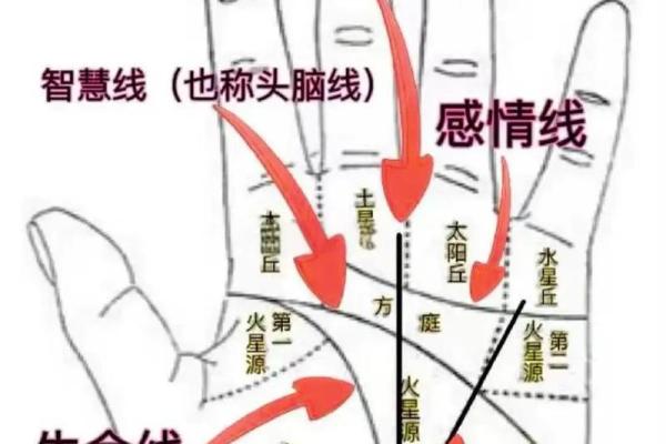 手心相印，命运相连——揭秘手相中的心手相依之谜