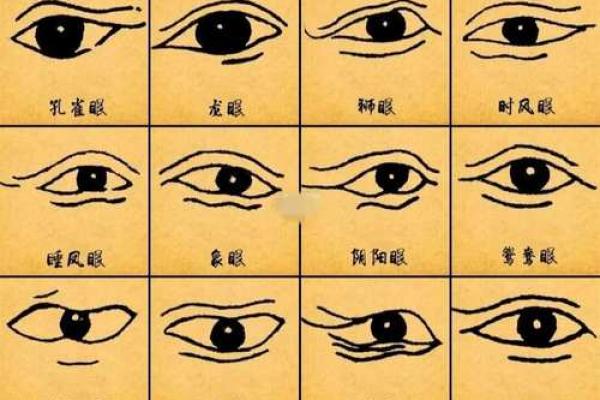 揭秘面相黑秘籍:教你一眼识破人心险恶 揭秘面相黑秘籍:教你一眼识破人心险恶