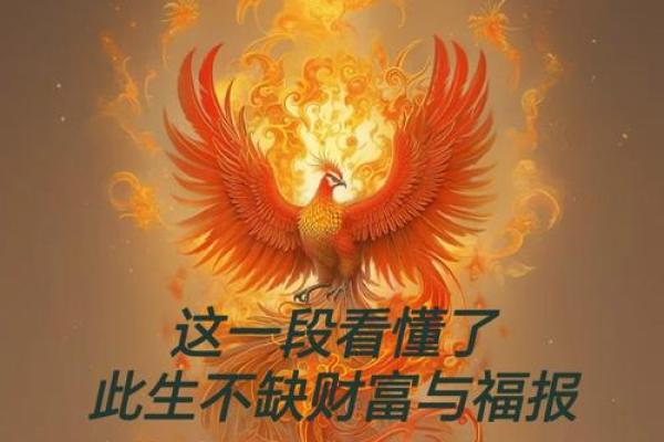 饿火命参，揭秘戴什么才能财运亨通