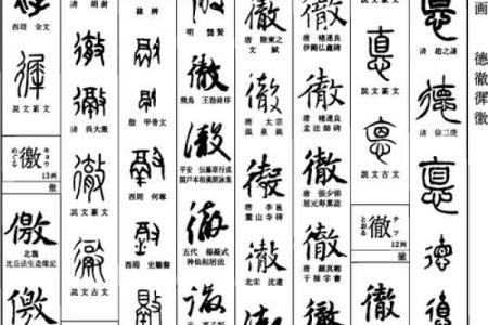 德字起名大全
