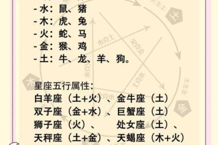 揭秘生肖奥秘：视竟属于哪个生肖，运势大揭秘