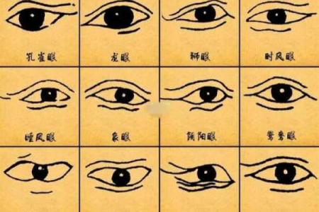 揭秘面相黑秘籍：教你一眼识破人心险恶