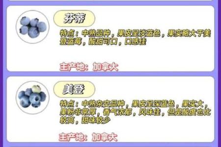 起个响亮的蓝莓名字，助力品牌腾飞