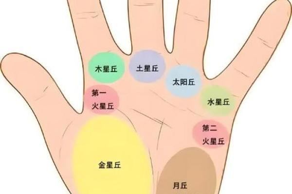 手相事业纹的秘密：职场成就与个人命运的交织