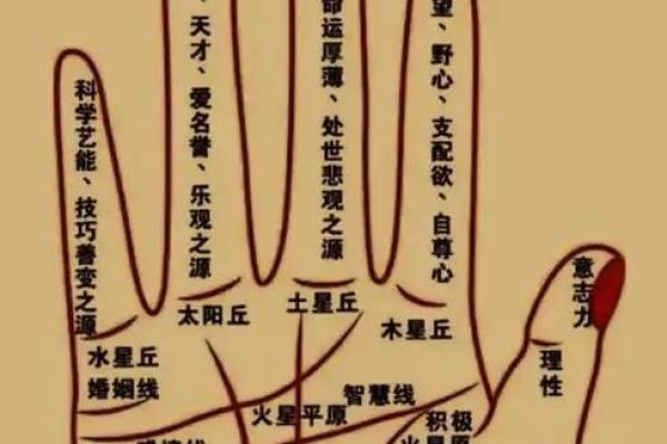 一掌定乾坤：揭秘男人手相的神奇奥秘