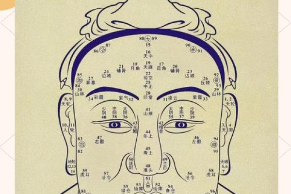 揭秘面相风水：一眼识人，运势掌控