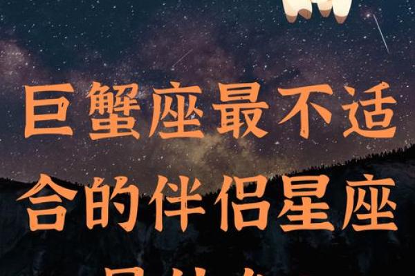 情感星座解码：揭秘最适合你的星座伴侣