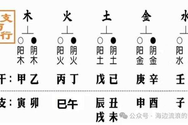 五行究竟属于哪个元素？一文搞懂五行分类