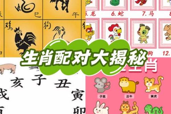 生肖情侣配对秘籍，揭秘最适合你的另一半