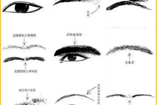 识人于微:揭秘面相背后的惊人秘密 识人于微:揭秘面相背后的惊人秘密