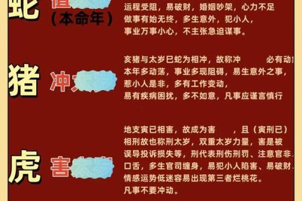十二生肖运势揭秘:谁将迎来爆红的一年? 十二生肖运势揭秘:谁将迎来爆红的一年?
