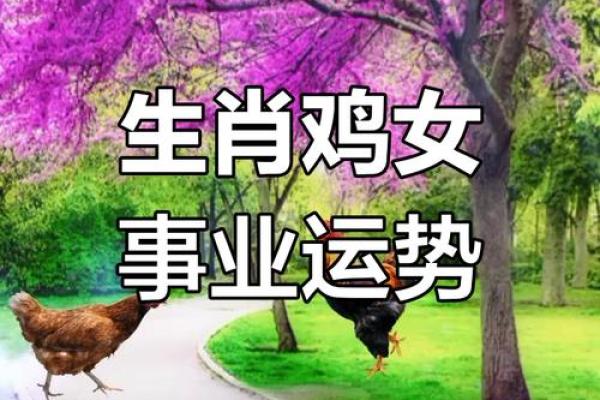 71年属鸡人:揭秘你的命运密码,财运亨通的一年 71年属鸡人:揭秘你的命运密码,财运亨通的一年