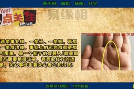 手相事业纹的秘密：职场成就与个人命运的交织