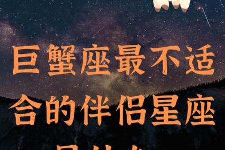 情感星座解码：揭秘最适合你的星座伴侣