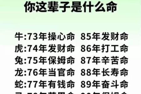 破解命运密码，盲派高级命理讲座深度分享