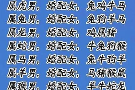 生肖情侣配对秘籍，揭秘最适合你的另一半