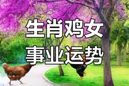 71年属鸡人：揭秘你的命运密码，财运亨通的一年