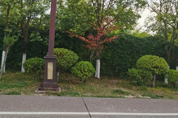 隔角煞究竟是什么？揭秘其在命理中的作用与影响