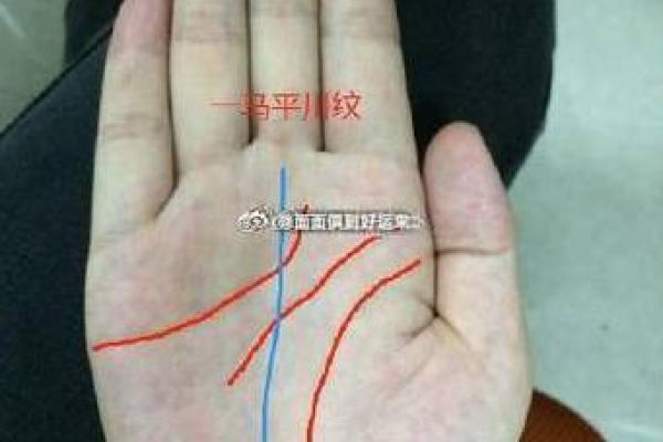 手相揭秘：三条竖纹暗示的惊人运势，让你一窥未来必看