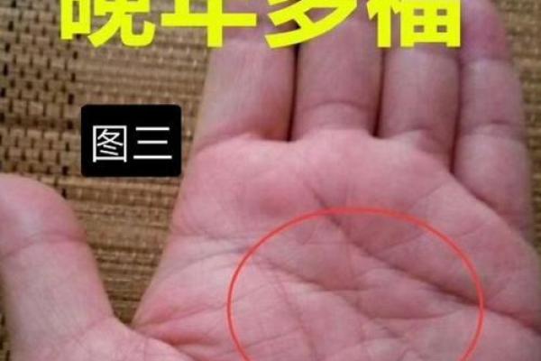 小指头歪斜暗示大财运揭秘手相中的惊人秘密 小指头歪斜暗示大财运揭秘手相中的惊人秘密