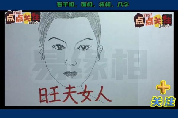 面相夫人志:揭秘面部特征与命运之间的神秘联系 面相夫人志:揭秘面部特征与命运之间的神秘联系