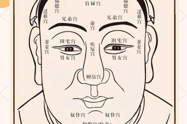 面相夫人志:揭秘面部特征与命运之间的神秘联系 面相夫人志:揭秘面部特征与命运之间的神秘联系