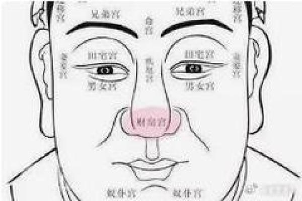 面相揭秘:眼神藏财气,识破富贵命 面相揭秘:眼神藏财气,识破富贵命