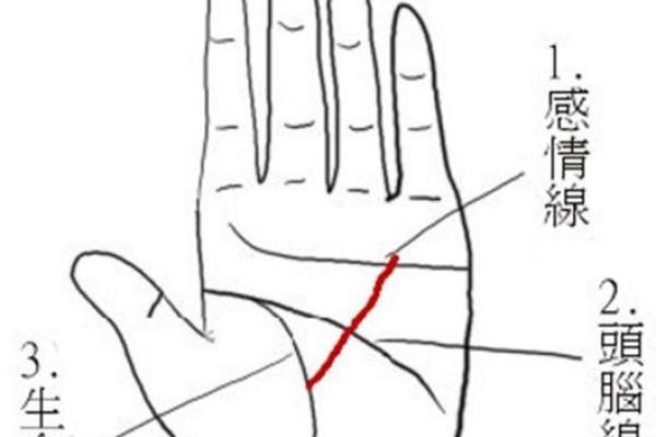 手相算命揭秘：太阳线全解析，揭开命运之门