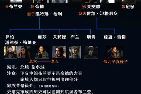 探秘盘氏家族排法，如何理清复杂的家族关系