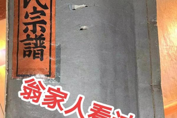 探秘盘氏家族排法，如何理清复杂的家族关系