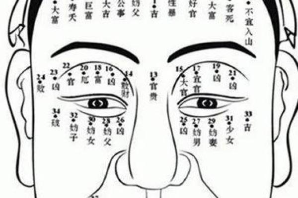 脸部痣相大揭秘:痣的位置竟然影响你的运势 脸部痣相大揭秘:痣的位置竟然影响你的运势