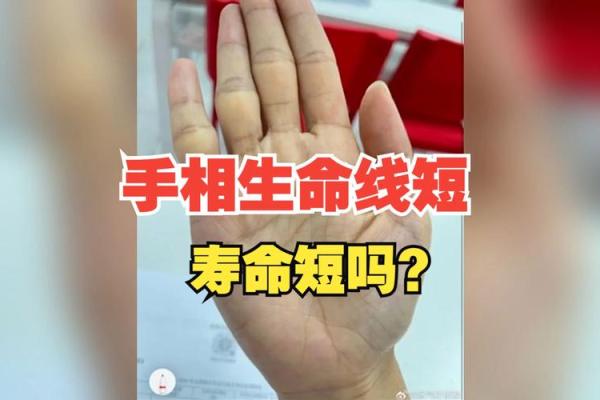 手相揭秘：揭秘命短者手相特征，让你一眼识破命运之谜