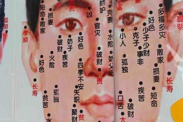 痣相探秘:面痣的神奇力量,揭示你的命运密码 痣相探秘:面痣的神奇力量,揭示你的命运密码