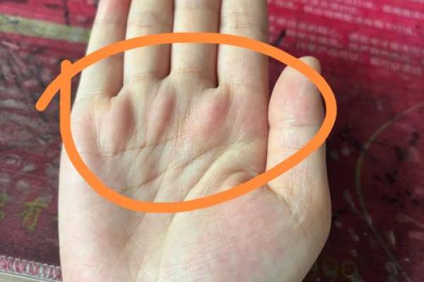 月丘手相揭秘：运势财运一触即发