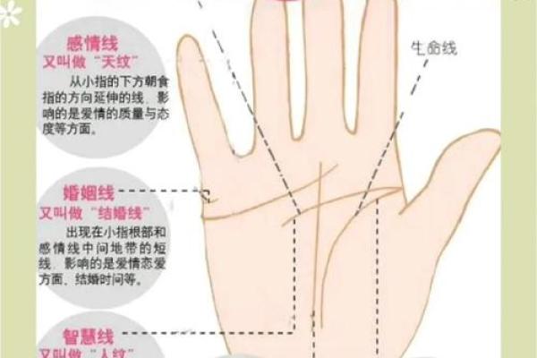 手相解析：左手横纹揭示惊人命运走向