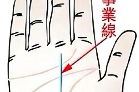 手相揭秘：揭秘你命中注定的工作类型，让你事业有成