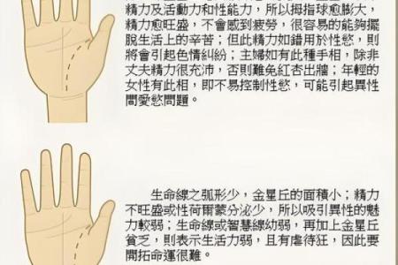 手相揭秘：三条竖纹暗示的惊人运势，让你一窥未来必看