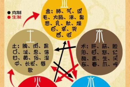 力五行：从命理到事业，全面掌控运势的秘密