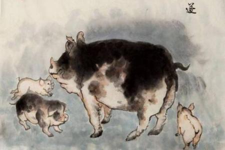 属猪的遇见属牛的：是缘分还是尴尬？