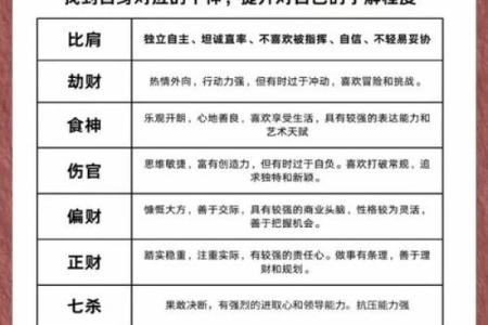 十二宫面相揭秘：揭秘命运的秘密，让你的面相助你一臂之力