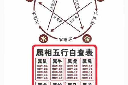 如何判断自己五行属什么？全面解析你的命理密码