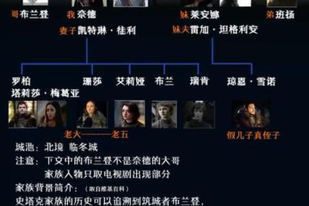 探秘盘氏家族排法，如何理清复杂的家族关系