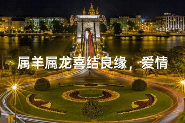 龙生肖配龙生肖,爱情事业双丰收 龙生肖配龙生肖,爱情事业双丰收