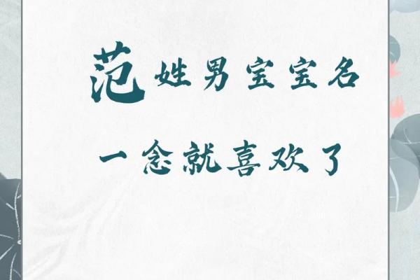 范姓宝宝起名宝典,如何选个吉利名字 范姓宝宝起名宝典,如何选个吉利名字