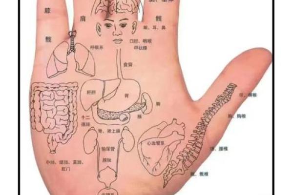 一掌在手，学业无忧揭秘手相中的学业奥秘