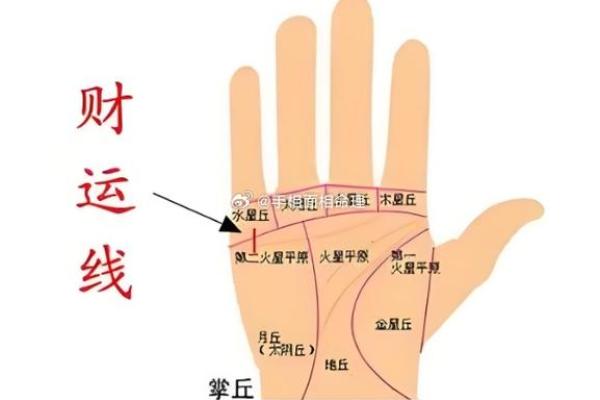 男人朱砂掌手相:财运亨通,运势旺盛的神秘手相揭秘 男人朱砂掌手相:财运亨通,运势旺盛的神秘手相揭秘