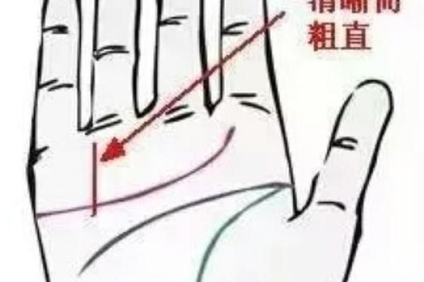 男人朱砂掌手相:财运亨通,运势旺盛的神秘手相揭秘 男人朱砂掌手相:财运亨通,运势旺盛的神秘手相揭秘