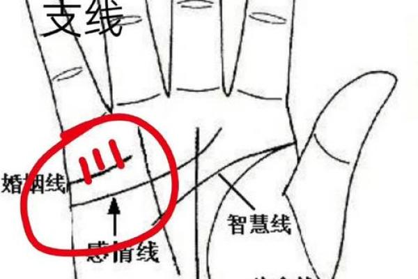手相揭秘：岛屿线预示着怎样的婚姻命运？