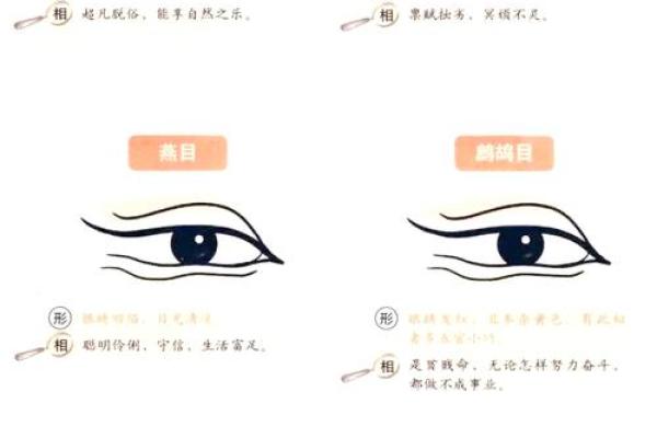 面相揭秘:一眼识破性格秘密,揭秘你的命运密码 面相揭秘:一眼识破性格秘密,揭秘你的命运密码